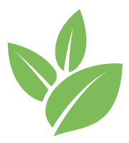 Strive Hedge Trimming