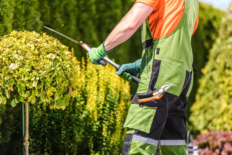 Hedge Shaping Techniques