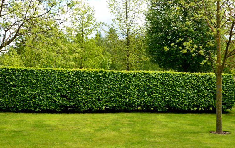 Healthy Hedge