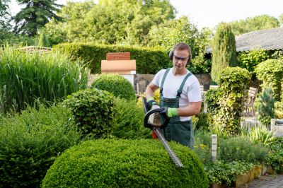 Pruning Overgrown Shrubs