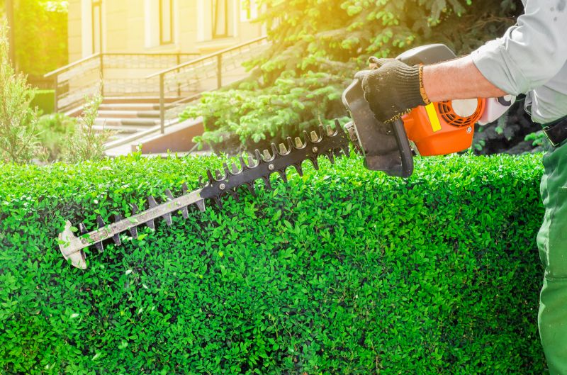 Customized Hedge Designs