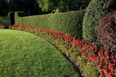 Improve Curb Appeal!