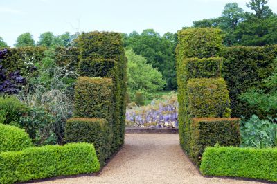 Keep Hedges Neat and Tidy!