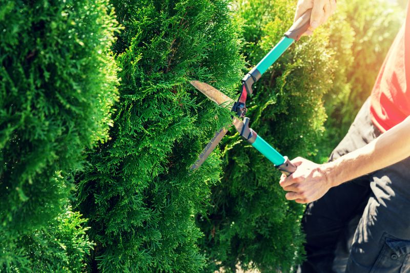 Detailed Trimming Tools
